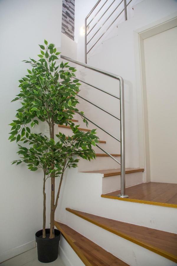 Apartments Victoria ドゥブロブニク エクステリア 写真